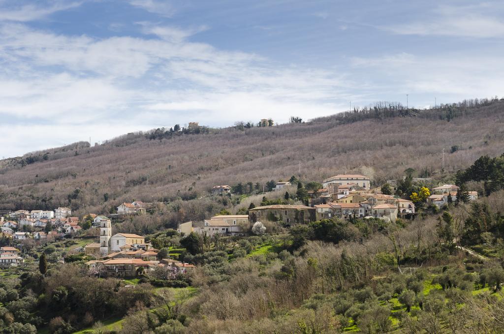 Bed and Breakfast Al Casale Dei Nonni Laureana Cilento Экстерьер фото